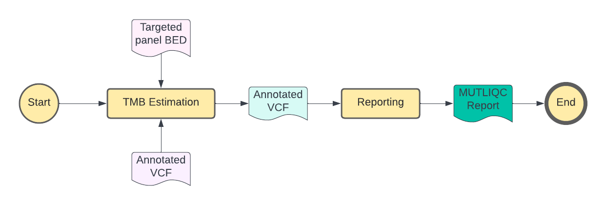 tmb_workflow